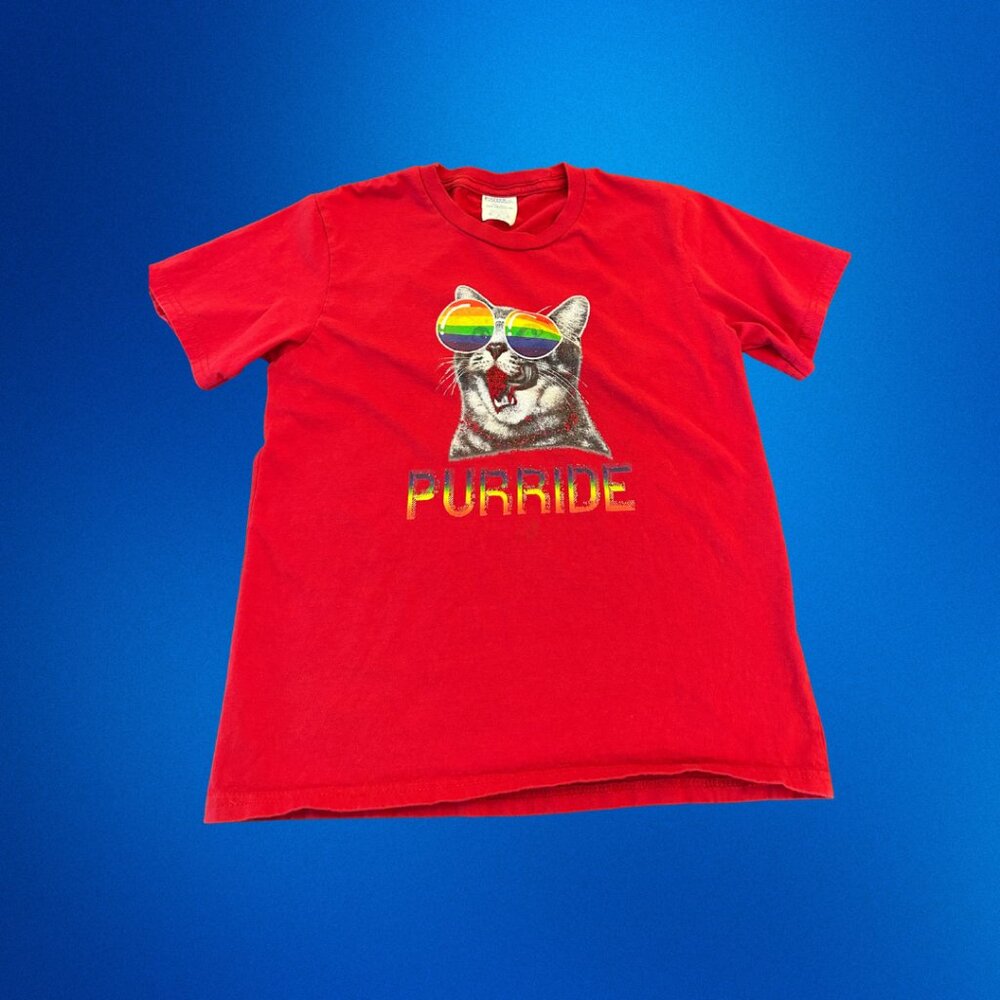 PUURIDE Pride Rainbow Cat T-Shirt — Fun, Fierce & Fabulous! 🌈🐱